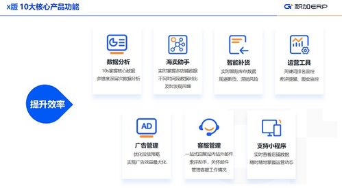 積加ERP 定制化解決方案，小賣家與中大賣家的差異化需求